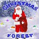 Christmast Forest