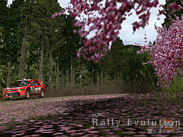 WRC: Rally Evolved