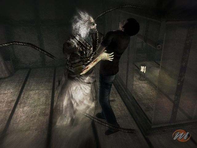 Project Zero 3: The Tormented