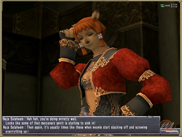 Final Fantasy XI: Treasures of Aht Urhgan