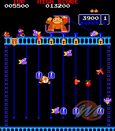 Nstory presents: Donkey Kong & Donkey Kong Jr. Nstory presents: Donkey Kong & Donkey Kong Jr.