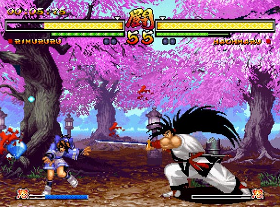 Samurai Shodown V