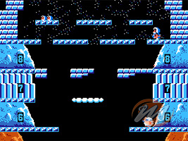 Nstory presents: ExciteBike & Ice Climber