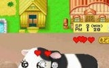 Harvest Moon DS Harvest Moon DS