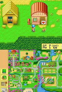 Harvest Moon DS