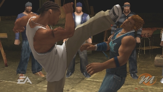 Def Jam Fight for NY: The Takeover