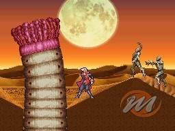 Castlevania: Portrait of Ruin