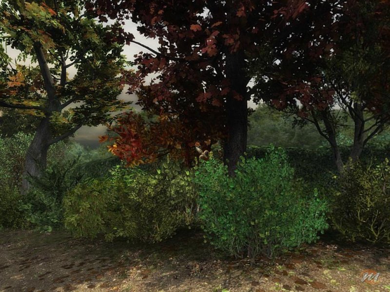 I Segreti di Da Vinci: Il Manoscritto Proibito