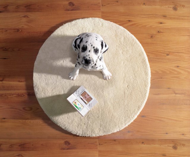 Nintendogs: Dalmatian and Friends