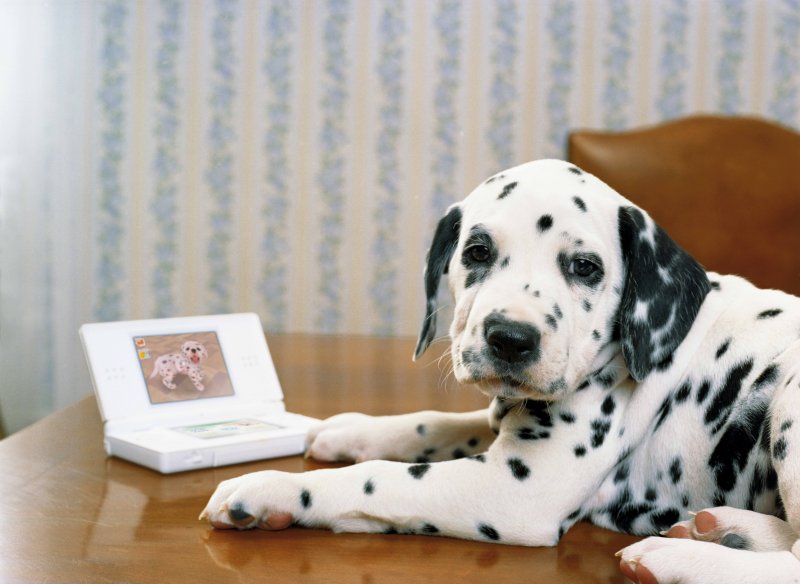 Nintendogs: Dalmatian and Friends