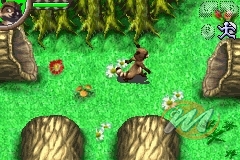 La Gang del Bosco (Over the Hedge)