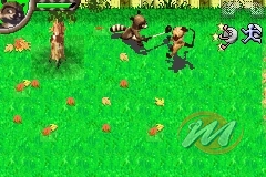 La Gang del Bosco (Over the Hedge)