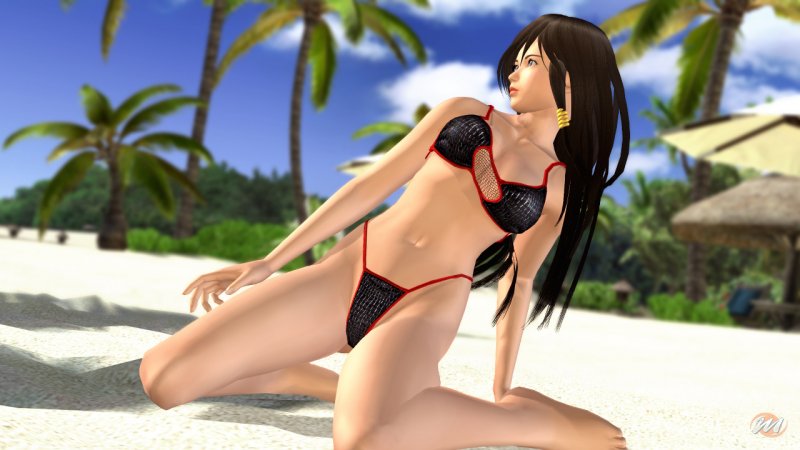 Dead or Alive: Xtreme 2