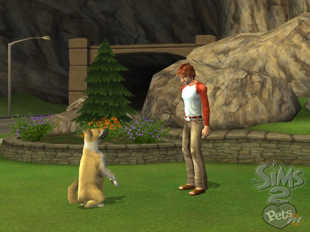 The Sims 2: Pets