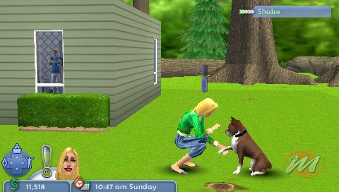 The Sims 2: Pets