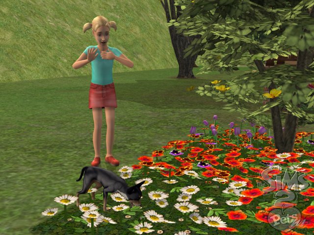 The Sims 2