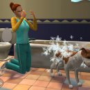 The Sims 2 - Trucchi