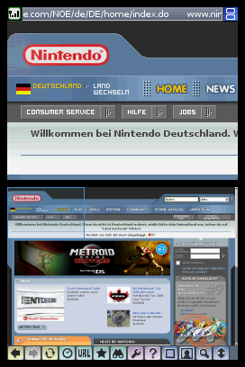 Nintendo DS Browser