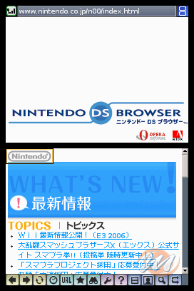 Nintendo DS Browser