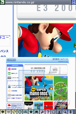 Nintendo DS Browser
