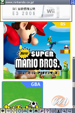 Nintendo DS Browser