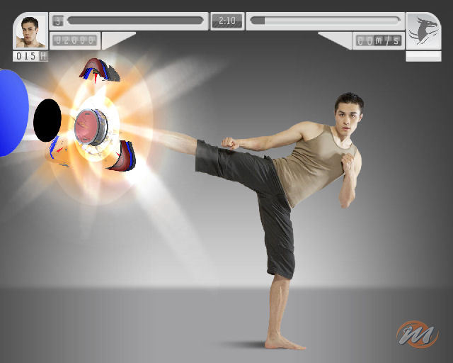 EyeToy: Kinetic Combat