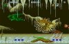 Nstory: from Nes to Wii