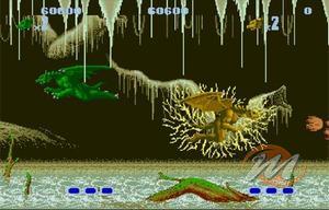 Nstory: from Nes to Wii