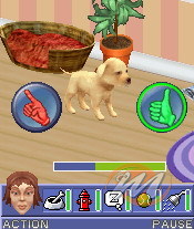 The Sims 2: Pets