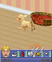 The Sims 2: Pets