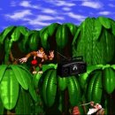 Donkey Kong: le origini del mito