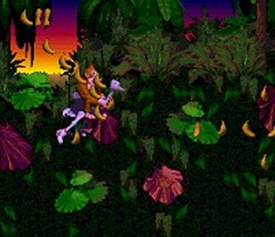 Donkey Kong Country