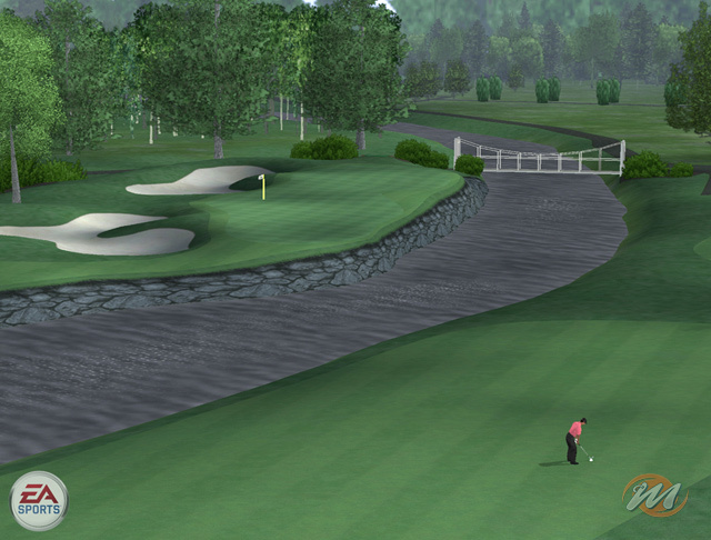 Tiger Woods PGA Tour 07