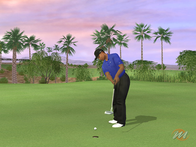 Tiger Woods PGA Tour 07