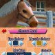 Pony Friends - Anteprima