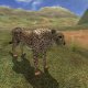 Wild Earth: Africa - Recensione