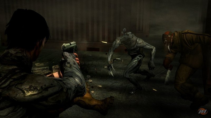 Dark Sector
