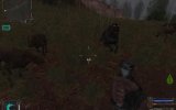 S.T.A.L.K.E.R.: Shadow of Chernobyl - Recensione S.T.A.L.K.E.R.: Shadow of Chernobyl - Recensione