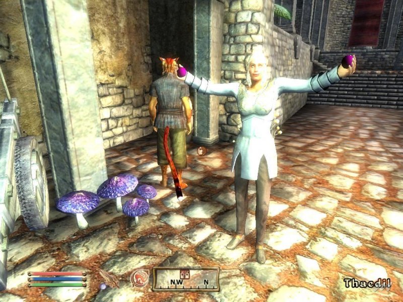 Shivering Isle era una bella espansione