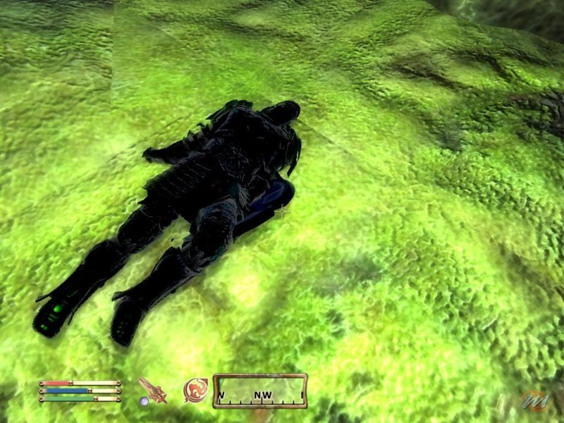 The Elder Scrolls IV: Oblivion - Shivering Isles