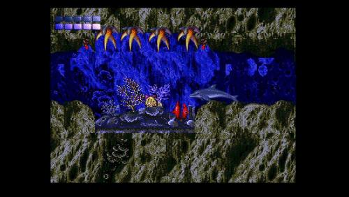 Ecco the Dolphin