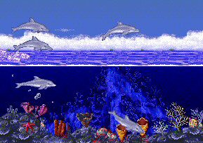 Ecco the Dolphin