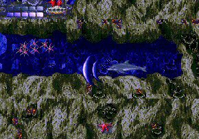 Ecco the Dolphin