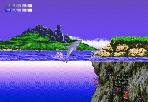 Ecco the Dolphin