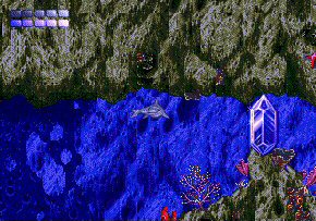 Ecco the Dolphin