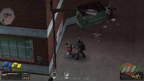 SWAT: Target Liberty