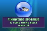 Fish Tycoon - Recensione