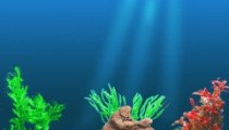 Fish Tycoon
