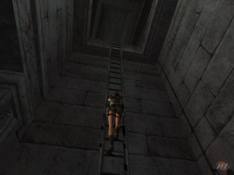 Tomb Raider: Anniversary