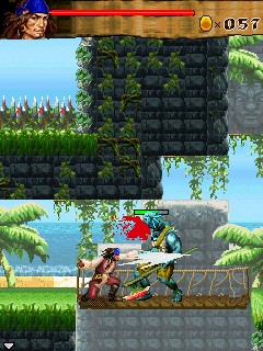 Pirati dei sette mari